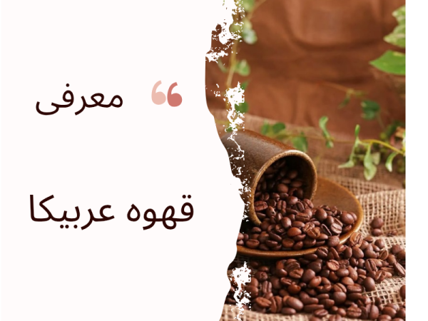 قهوه عربیکا